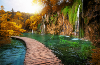 Pure Adventure
